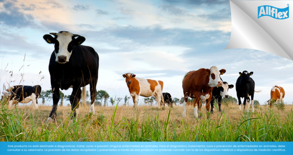 agricultura-sostenible